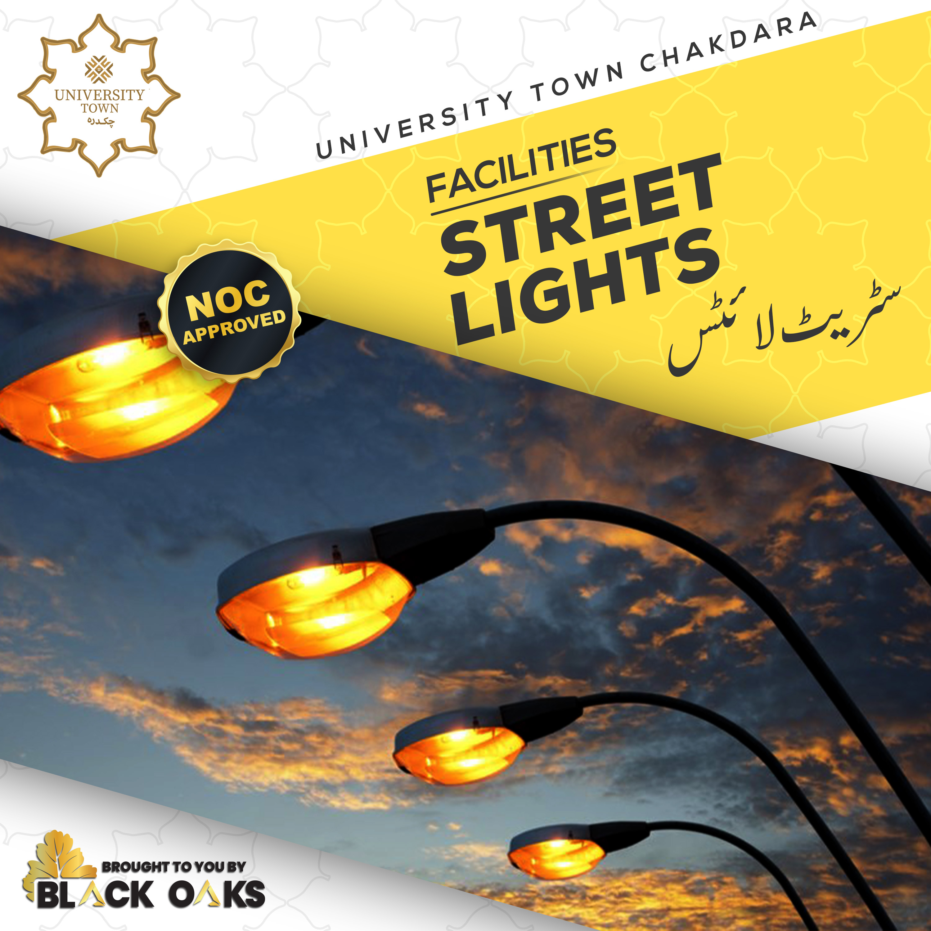 Solar-Powered Street Lights